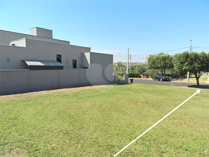 Foto REO1116554