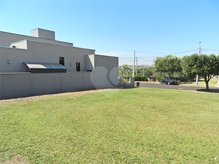 Foto REO1116554
