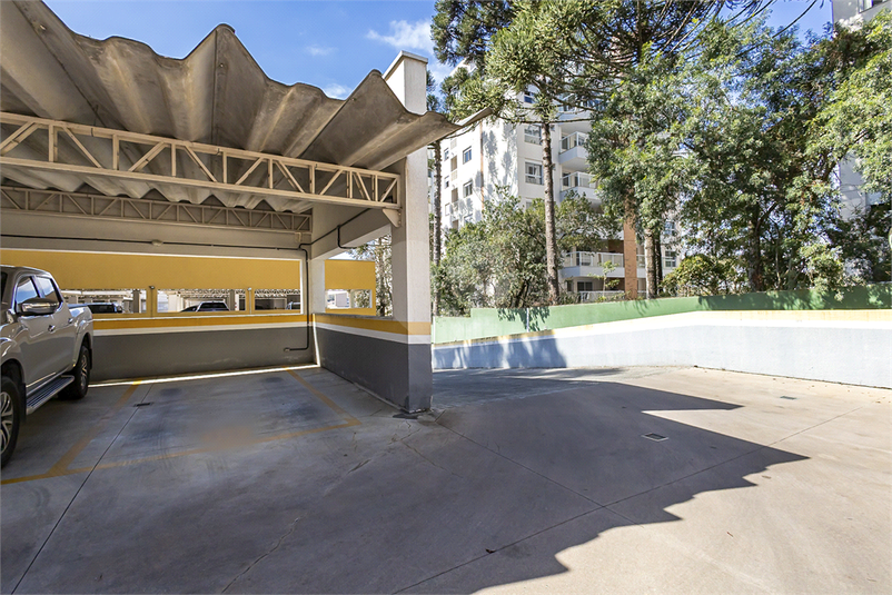 Foto REO1116555