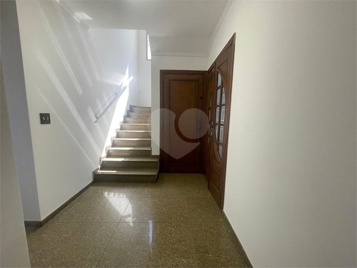 Foto REO1116562