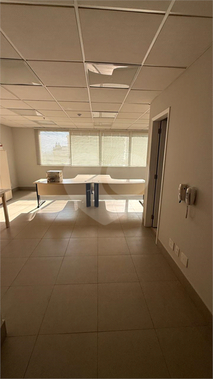 Foto REO1116565