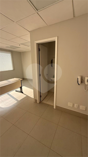 Foto REO1116565