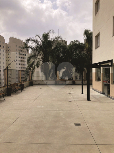 Foto REO1116566