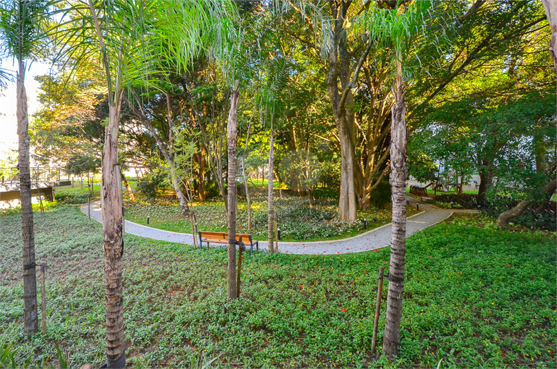 Foto REO1116567