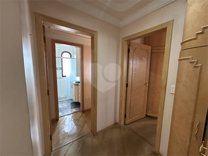 Foto REO1116570