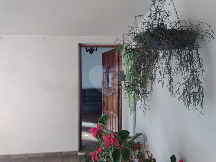 Foto REO1116573