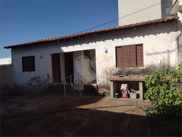 Foto REO1116573