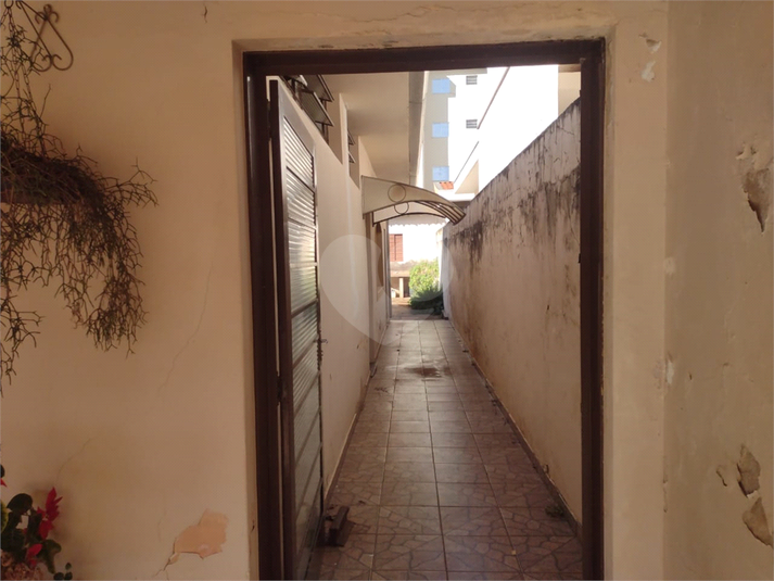 Foto REO1116573