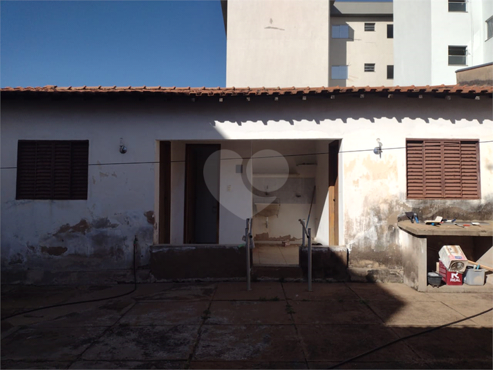 Foto REO1116573