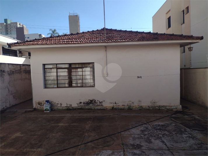 Foto REO1116573