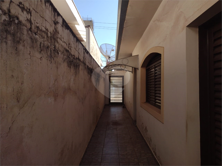 Foto REO1116573