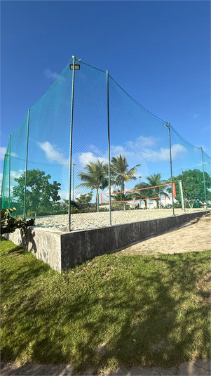 Foto REO1116579