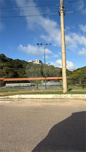 Foto REO1116579