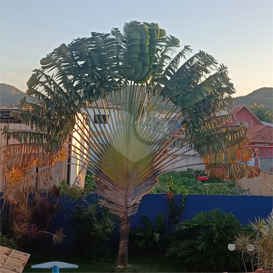 Foto REO1116580
