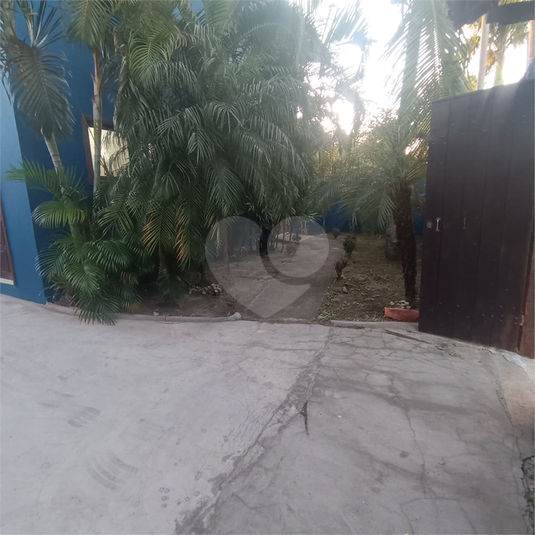 Foto REO1116580
