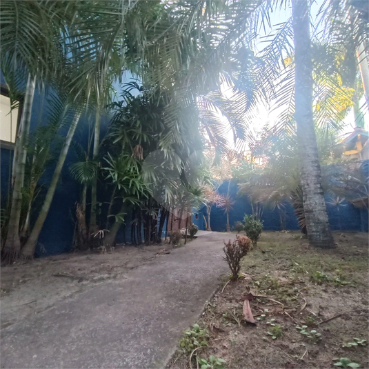 Foto REO1116580