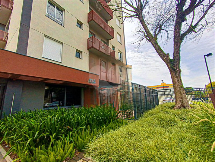 Foto REO1116583