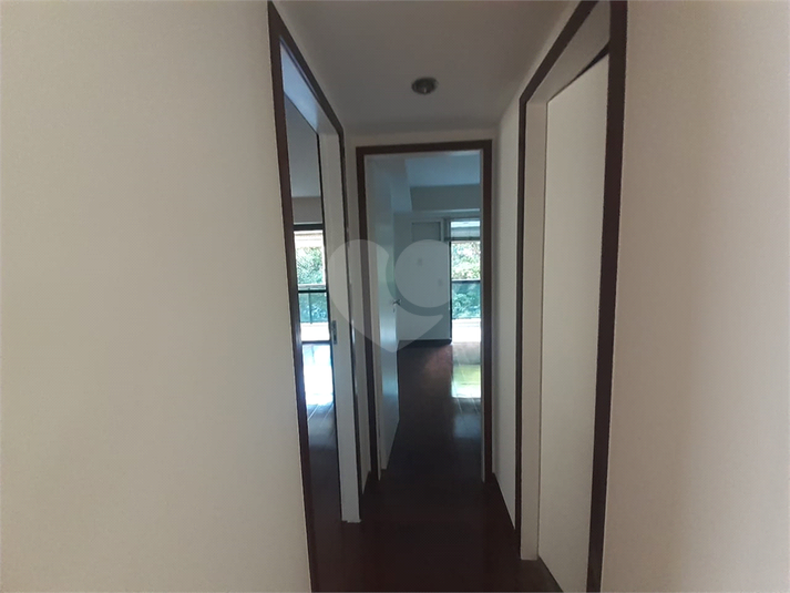 Foto REO1116585