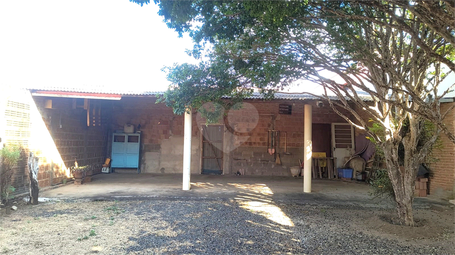 Foto REO1116586