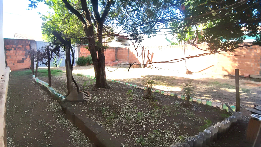 Foto REO1116586