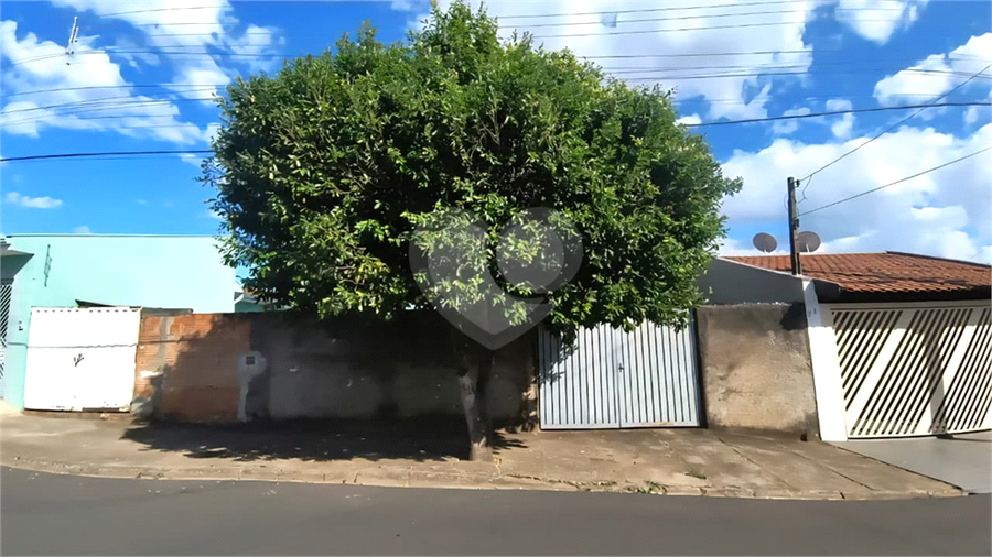 Foto REO1116586