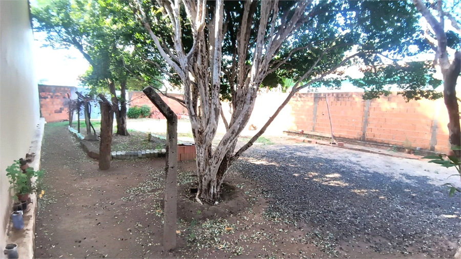 Foto REO1116586