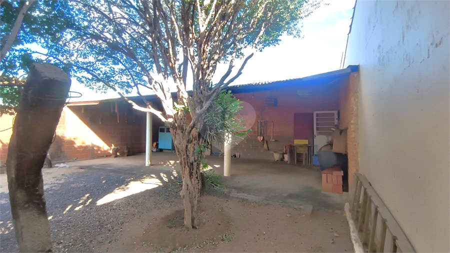 Foto REO1116586