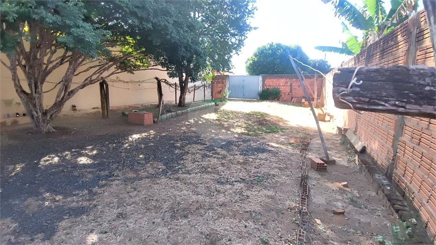 Foto REO1116586