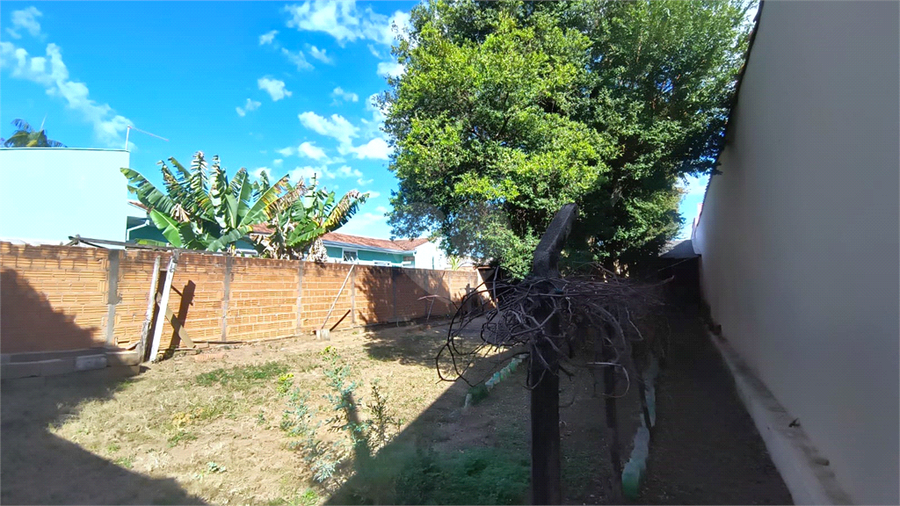 Foto REO1116586