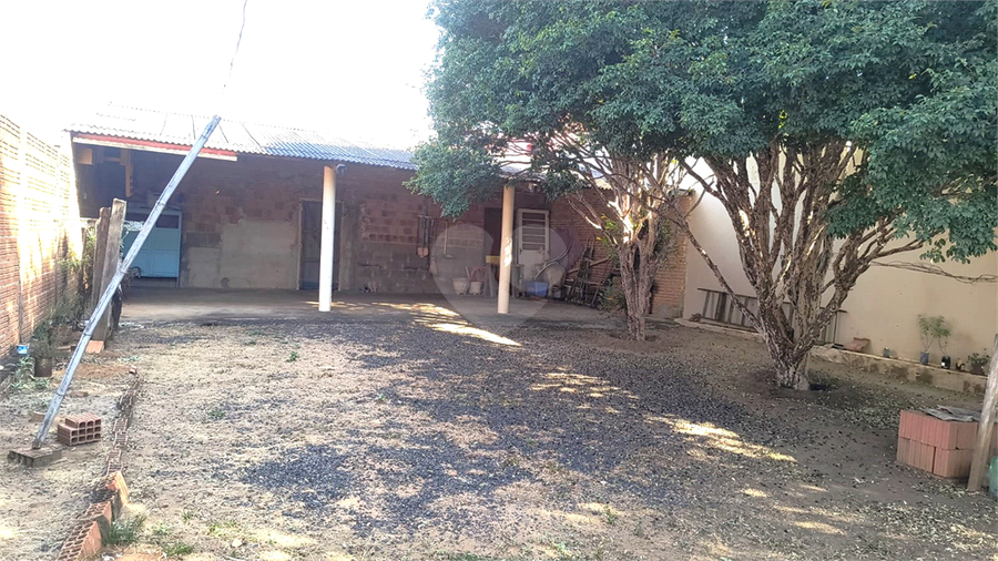 Foto REO1116586