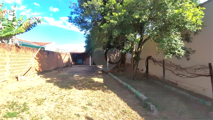 Foto REO1116586