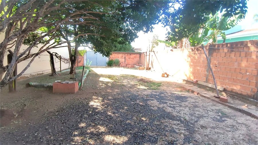 Foto REO1116586