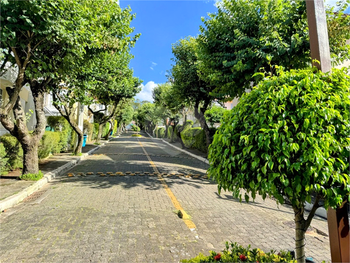 Foto REO1116588