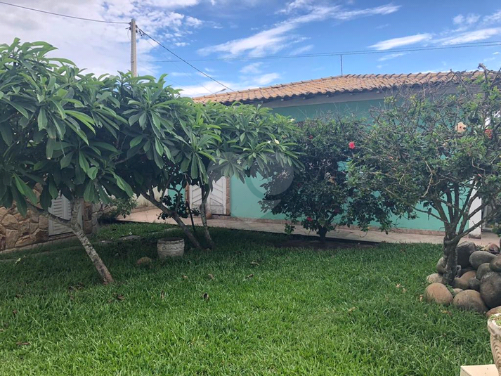 Foto REO1116590