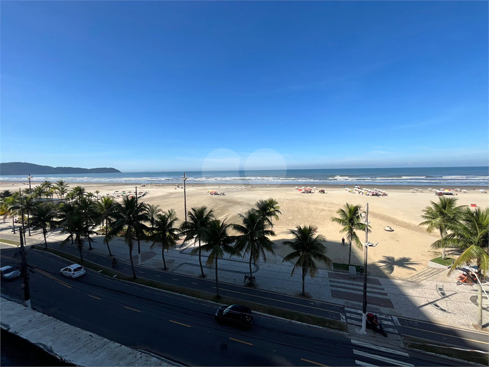 Foto REO1116599