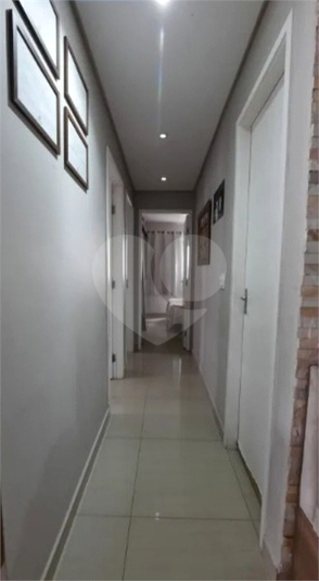 Foto REO1116612