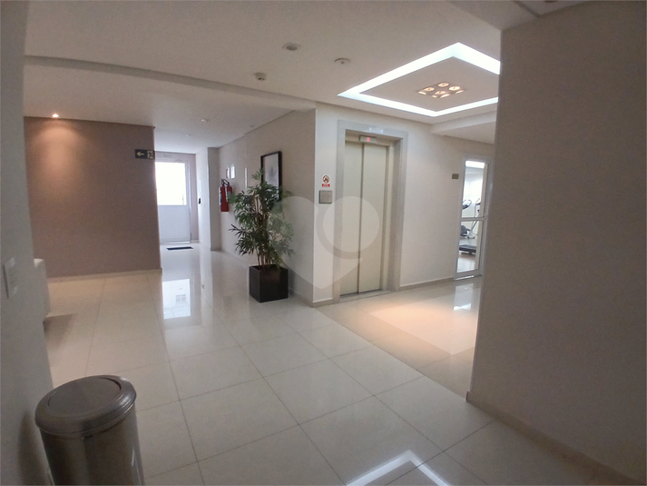 Foto REO1116616