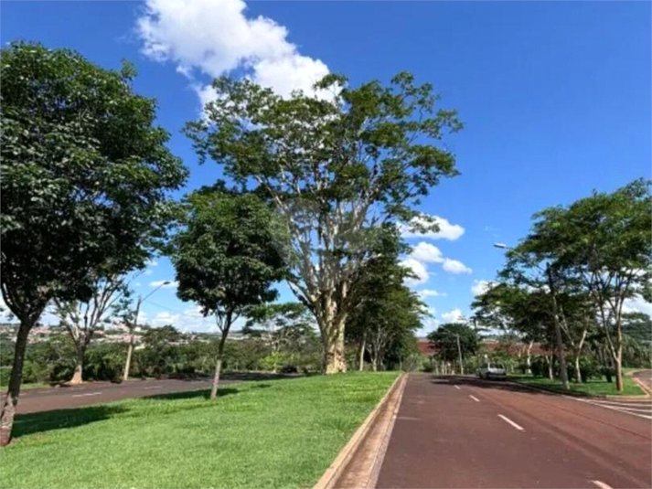 Foto REO1116618