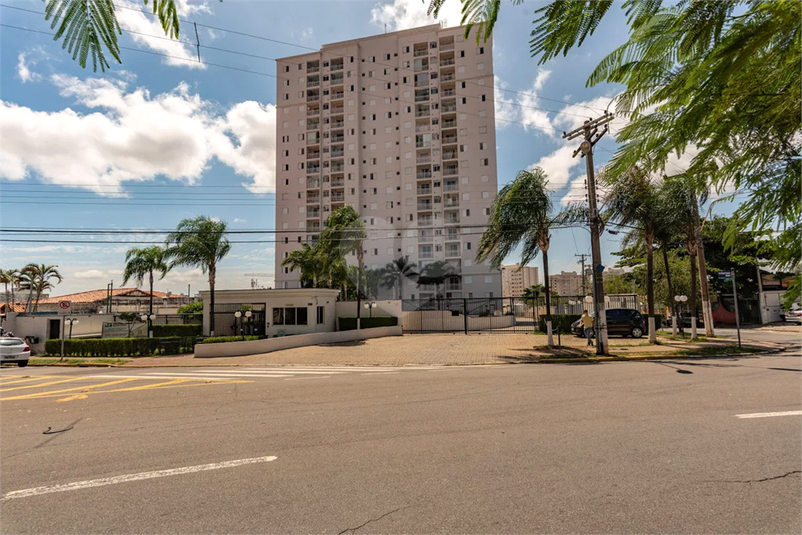 Foto REO1116630