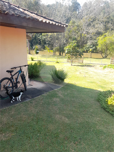 Foto REO1116641