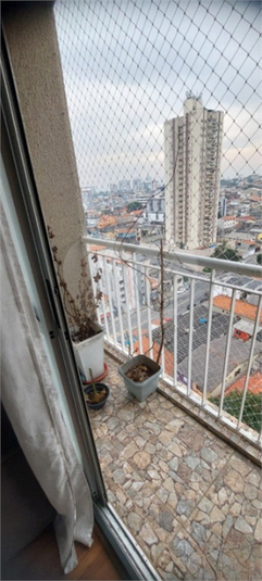 Foto REO1116645