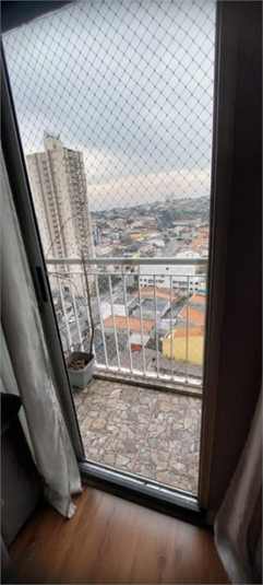 Foto REO1116645