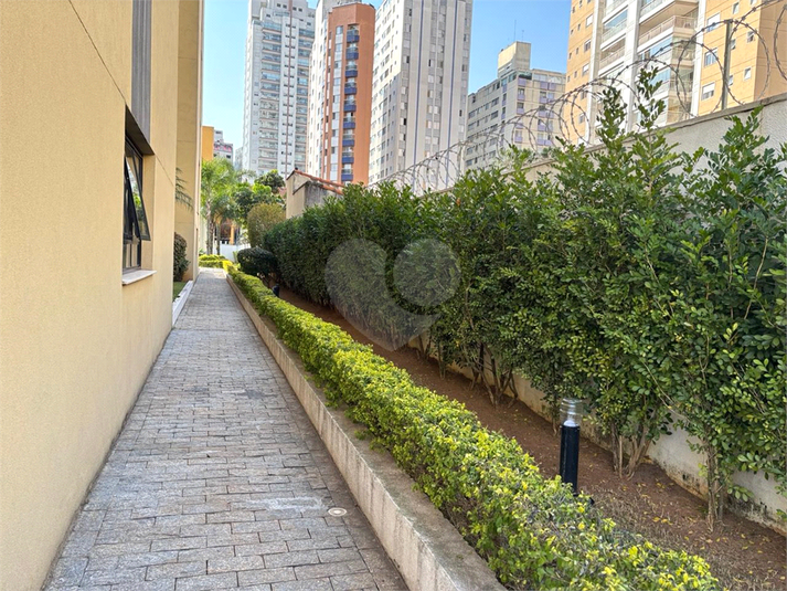Foto REO1116649