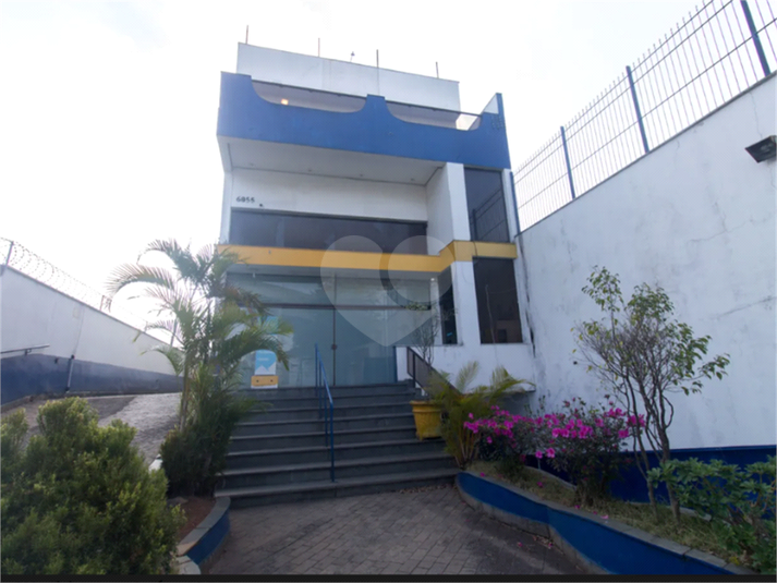 Foto REO1116650