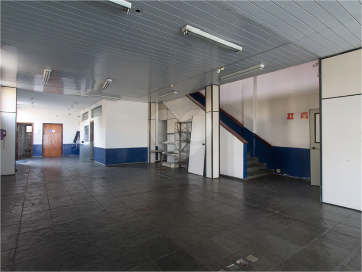 Foto REO1116650