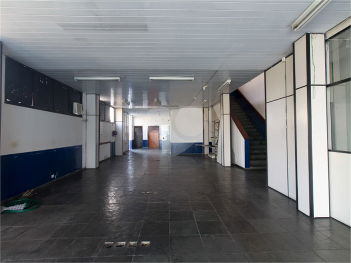 Foto REO1116650