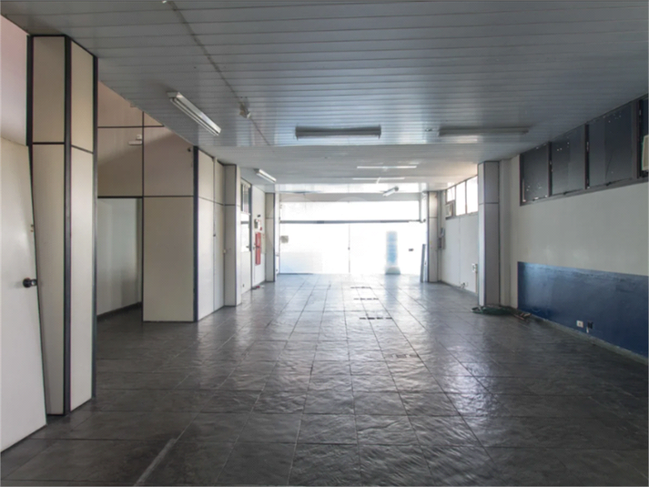 Foto REO1116650