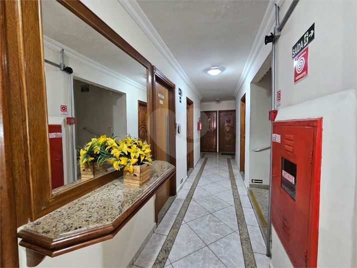 Foto REO1116652