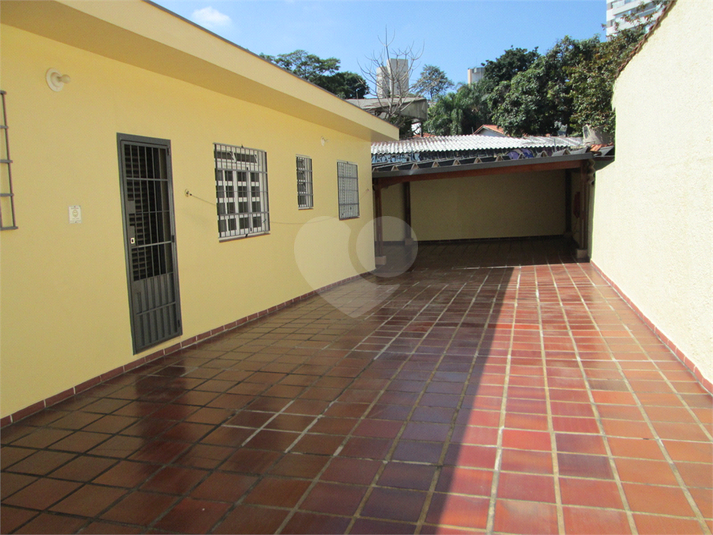 Foto REO1116672
