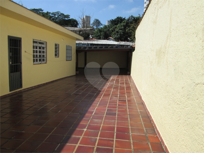 Foto REO1116672